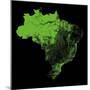 Forest Cover Of Brazil-Grasshopper Geography-Mounted Giclee Print