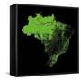 Forest Cover Of Brazil-Grasshopper Geography-Framed Stretched Canvas