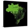 Forest Cover Of Brazil-Grasshopper Geography-Stretched Canvas