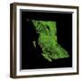 Forest Cover Of British Columbia-Grasshopper Geography-Framed Giclee Print
