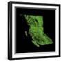 Forest Cover Of British Columbia-Grasshopper Geography-Framed Giclee Print