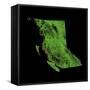 Forest Cover Of British Columbia-Grasshopper Geography-Framed Stretched Canvas