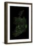 Forest Cover Of Ireland-Grasshopper Geography-Framed Giclee Print