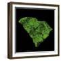 Forest Cover Of South Carolina-Grasshopper Geography-Framed Giclee Print