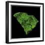 Forest Cover Of South Carolina-Grasshopper Geography-Framed Giclee Print