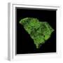 Forest Cover Of South Carolina-Grasshopper Geography-Framed Giclee Print