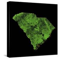 Forest Cover Of South Carolina-Grasshopper Geography-Stretched Canvas