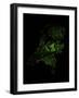 Forest Cover Of The Netherlands-Grasshopper Geography-Framed Giclee Print