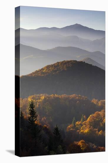 Forest Covered Hills, Piatra Craiului Np, Transylvania, Southern Carpathian Mountains, Romania-Dörr-Stretched Canvas