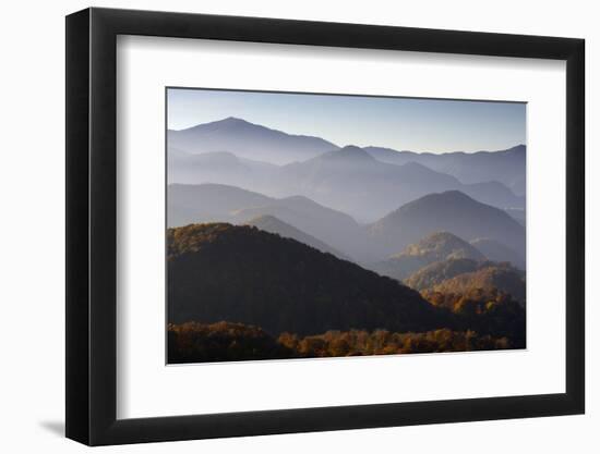 Forest Covered Hills, Piatra Craiului Np, Transylvania, Southern Carpathian Mountains, Romania-Dörr-Framed Photographic Print