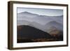 Forest Covered Hills, Piatra Craiului Np, Transylvania, Southern Carpathian Mountains, Romania-Dörr-Framed Photographic Print