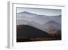 Forest Covered Hills, Piatra Craiului Np, Transylvania, Southern Carpathian Mountains, Romania-Dörr-Framed Photographic Print