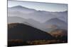 Forest Covered Hills, Piatra Craiului Np, Transylvania, Southern Carpathian Mountains, Romania-Dörr-Mounted Photographic Print