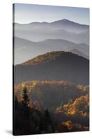 Forest Covered Hills, Piatra Craiului Np, Transylvania, Southern Carpathian Mountains, Romania-Dörr-Stretched Canvas