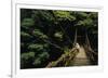 Forest Crossing-Bob Krist-Framed Giclee Print