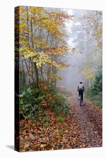 Forest cycling-Charles Bowman-Stretched Canvas