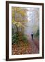 Forest cycling-Charles Bowman-Framed Photographic Print