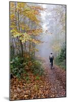 Forest cycling-Charles Bowman-Mounted Photographic Print