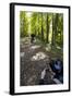 Forest Cycling-Charles Bowman-Framed Photographic Print