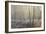 Forest Dawn-David Baker-Framed Photographic Print