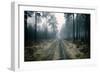 Forest Dawn-David Baker-Framed Photographic Print