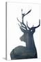 Forest Deer Silhouette-Incado-Stretched Canvas