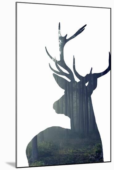 Forest Deer Silhouette-Incado-Mounted Art Print