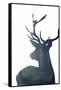 Forest Deer Silhouette-Incado-Framed Stretched Canvas