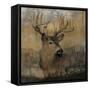 Forest Deer-Carol Robinson-Framed Stretched Canvas