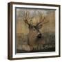 Forest Deer-Carol Robinson-Framed Art Print