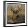 Forest Deer-Carol Robinson-Framed Art Print
