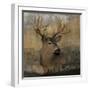 Forest Deer-Carol Robinson-Framed Art Print