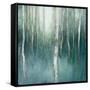 Forest Dream-Julia Purinton-Framed Stretched Canvas