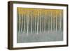 Forest Dusk-James Wiens-Framed Art Print