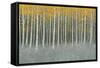 Forest Dusk-James Wiens-Framed Stretched Canvas