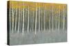 Forest Dusk-James Wiens-Stretched Canvas