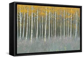 Forest Dusk-James Wiens-Framed Stretched Canvas