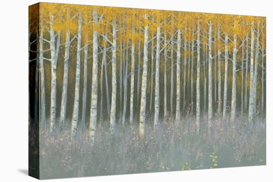 Forest Dusk-James Wiens-Stretched Canvas