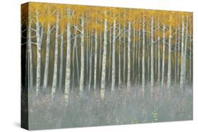 Forest Dusk-James Wiens-Stretched Canvas