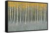 Forest Dusk-James Wiens-Framed Stretched Canvas