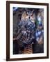 Forest Eagle Owl, Native to Eurasia-David Northcott-Framed Photographic Print