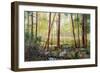 Forest Edge-Robert Moore-Framed Art Print