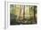 Forest Edge-Robert Moore-Framed Art Print