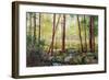 Forest Edge-Robert Moore-Framed Art Print