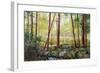 Forest Edge-Robert Moore-Framed Art Print