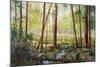 Forest Edge-Robert Moore-Mounted Art Print