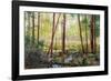 Forest Edge-Robert Moore-Framed Art Print