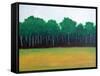 Forest Edge-Herb Dickinson-Framed Stretched Canvas