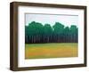 Forest Edge-Herb Dickinson-Framed Photographic Print