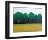 Forest Edge-Herb Dickinson-Framed Photographic Print